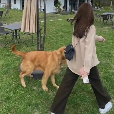 宿主